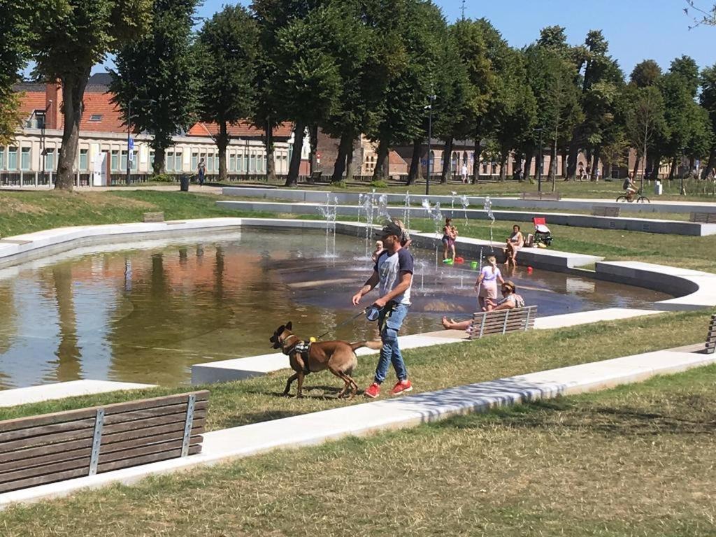Villa Domus XIX تونجيرين المظهر الخارجي الصورة